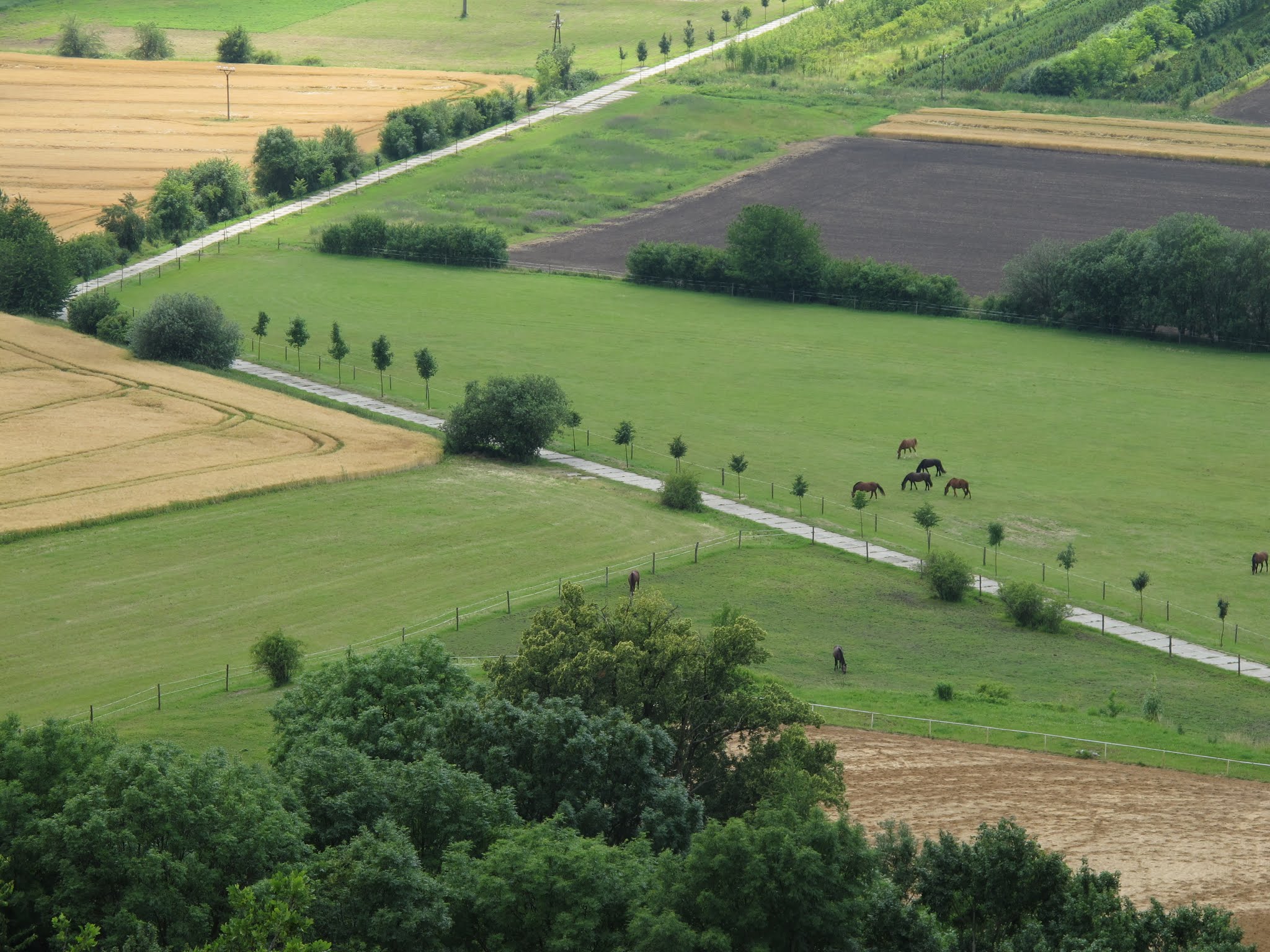 Album image copied from https://lh3.googleusercontent.com/-F9kSyDcc1PU/VYvbdzwAL1I/AAAAAAABfsA/d1bJZbaFb3gp_paJXELqY26TWo8XdRJuQCLABGAYYCw/s0-U-I/IMG_5805.JPG