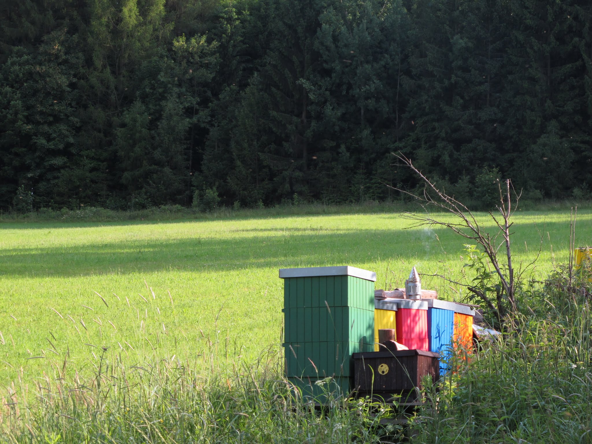 Album image copied from https://lh3.googleusercontent.com/-raGgv5YwsCM/VYvc9NlOTrI/AAAAAAABftM/5jYUjiXetWU13WhcCZ6c4dLbsBd1pzPAACLABGAYYCw/s0-U-I/IMG_5813.JPG