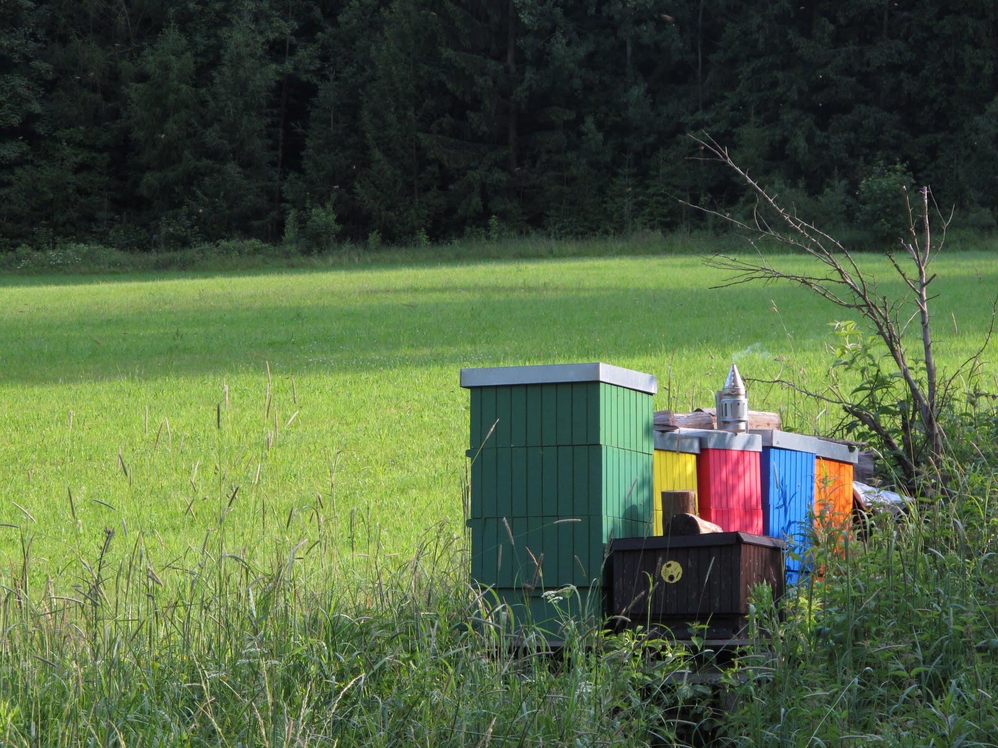 Album image copied from https://lh3.googleusercontent.com/-a7BxqsnS7Nc/VYvc-RwiYLI/AAAAAAABftU/uLVqQkl_2m4B341zPqkIFc5qRPH_2R03wCLABGAYYCw/s0-U-I/IMG_5814.JPG