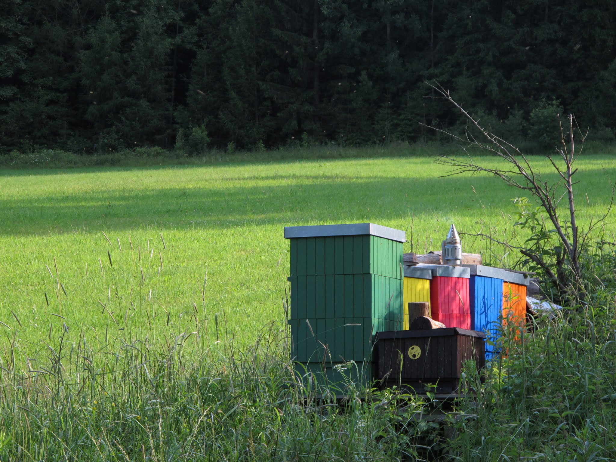 Album image copied from https://lh3.googleusercontent.com/-DownmC9e-d0/VYvdACN6xqI/AAAAAAABftc/1sSgBg1_XJ0EPr_HCLaIkiRU7mD3_awuACLABGAYYCw/s0-U-I/IMG_5815.JPG