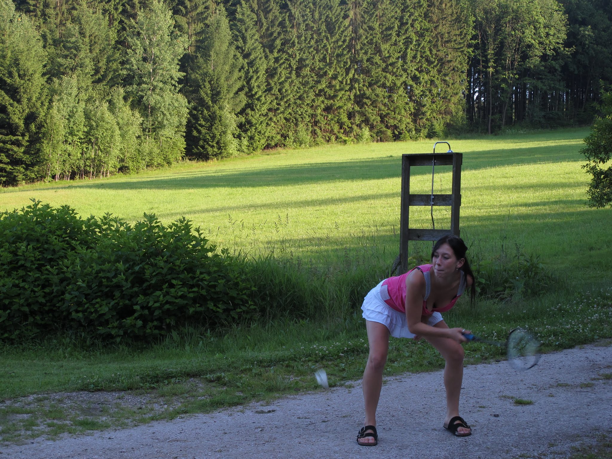 Album image copied from https://lh3.googleusercontent.com/-MP16WUF34kI/VYvdO8VwInI/AAAAAAABfuk/WEmKLmfoWYoY0Beb0mZSc5fP7CiWalv8wCLABGAYYCw/s0-U-I/IMG_5825.JPG