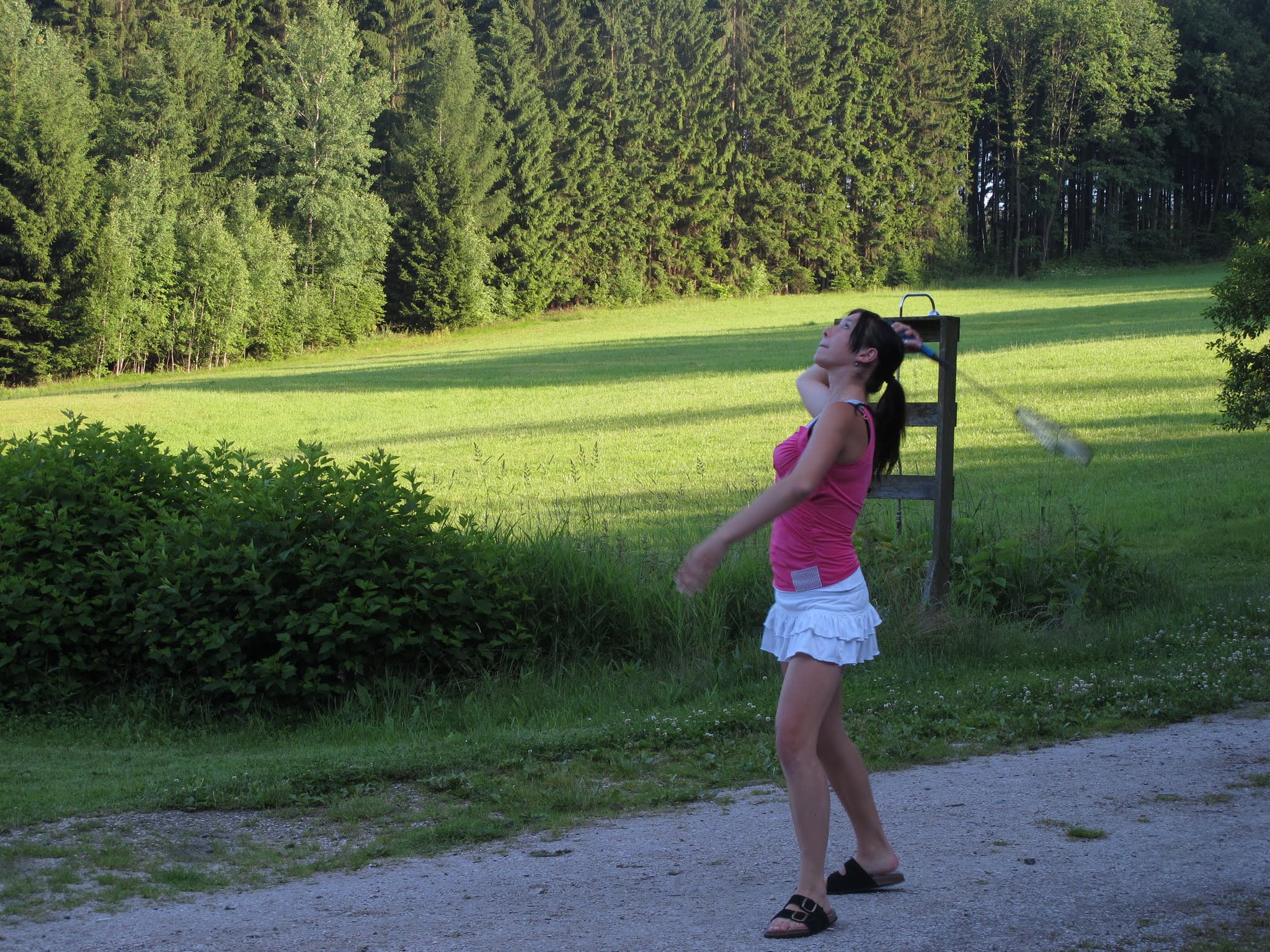 Album image copied from https://lh3.googleusercontent.com/-FtRhVI3fp5I/VYvdQW4QQtI/AAAAAAABfuw/d4QPJUXfDJIEINN3Y8PI-230mtWUypiHQCLABGAYYCw/s0-U-I/IMG_5826.JPG