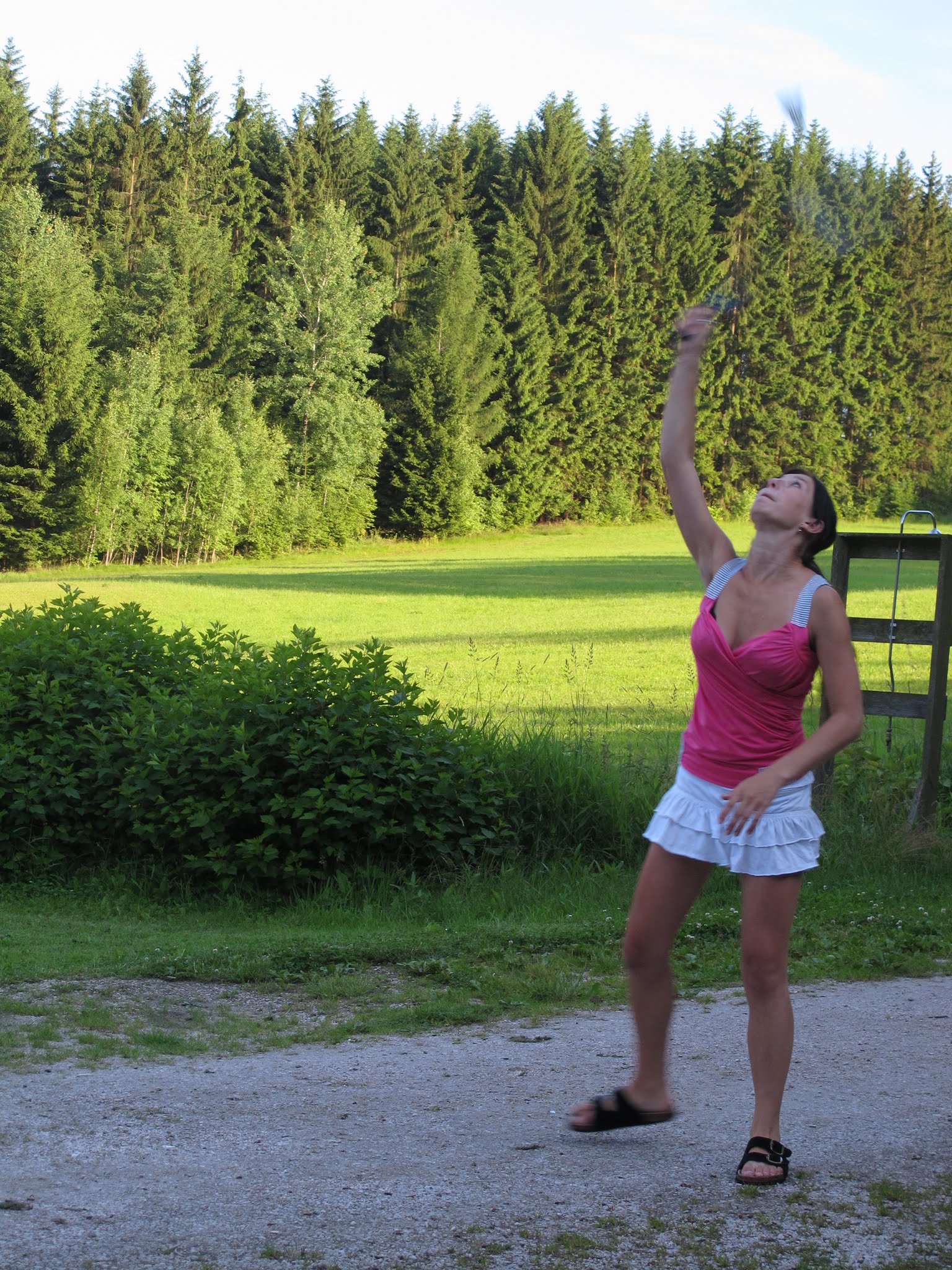 Album image copied from https://lh3.googleusercontent.com/-xUhda3DYrQg/VYvdWpnmwbI/AAAAAAABfvQ/fIr5iZVGDrEgxzpxlf9-YVh8AiMDGQUWACLABGAYYCw/s0-U-I/IMG_5830.JPG