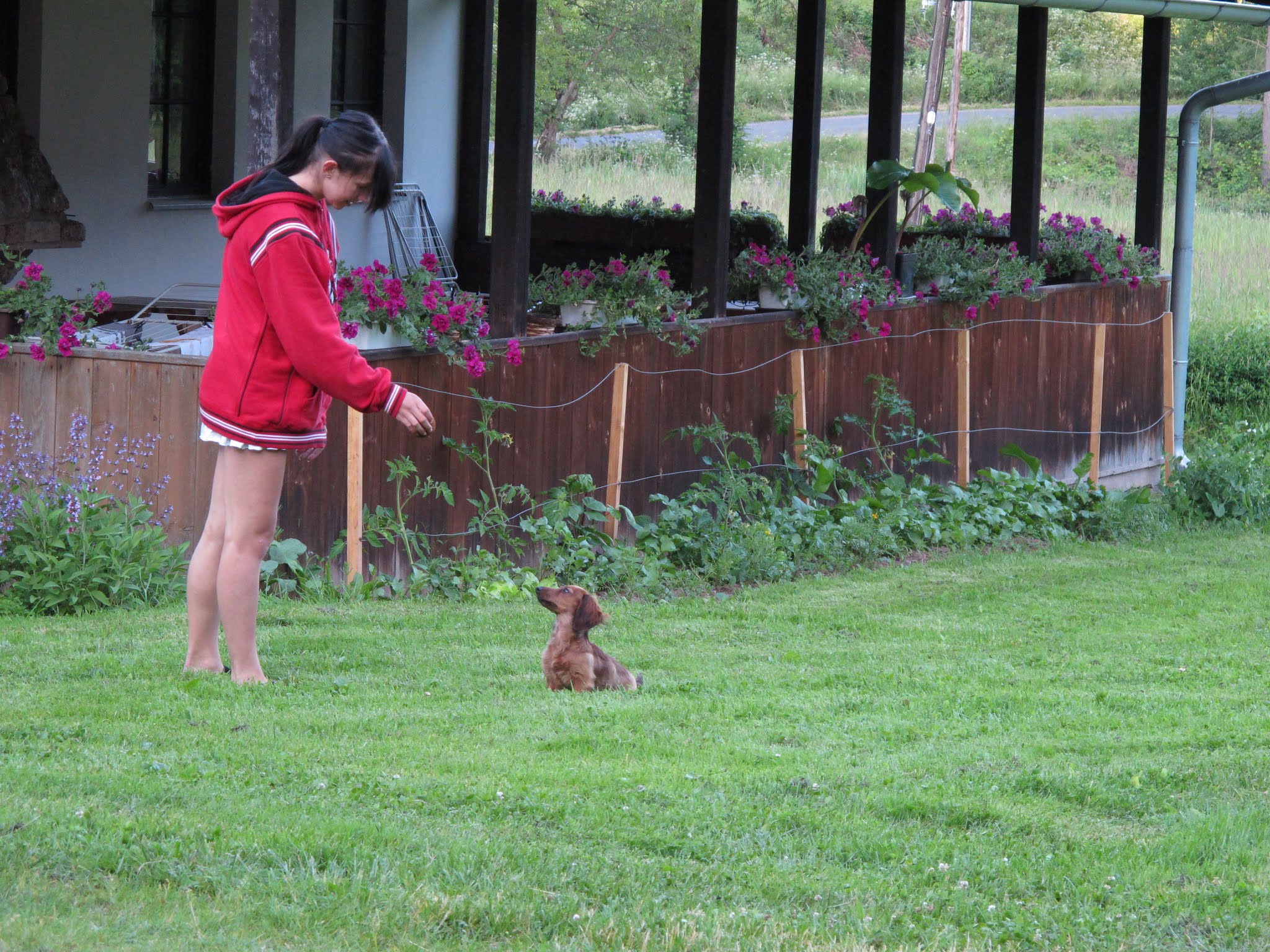 Album image copied from https://lh3.googleusercontent.com/-jg1EdI7tHMI/VYvdj1XpuuI/AAAAAAABfwI/fLOgpaTkzMQgRoMr-mD4KYJzuYEIGLQ_QCLABGAYYCw/s0-U-I/IMG_5837.JPG