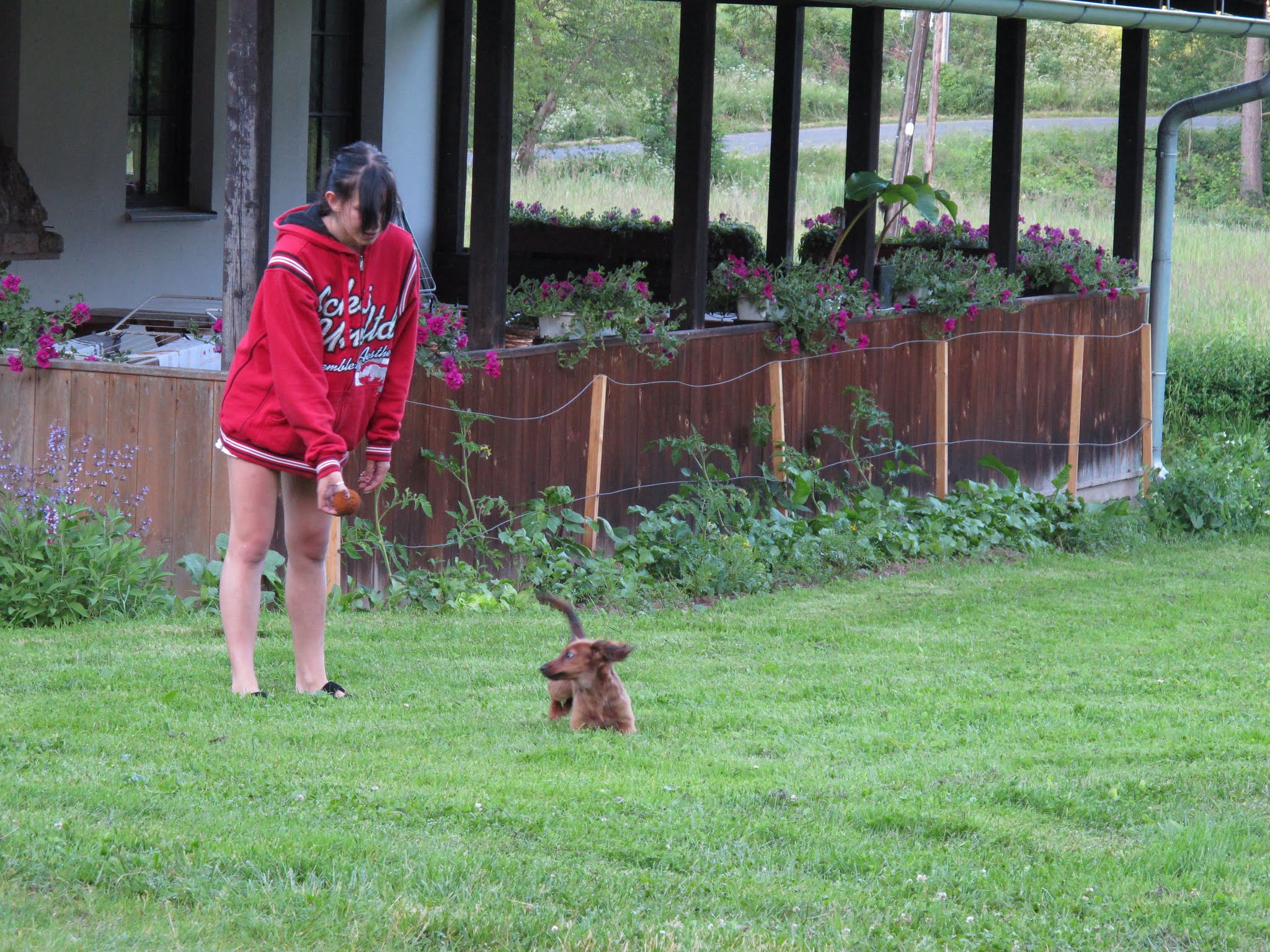 Album image copied from https://lh3.googleusercontent.com/-HdqHDiko2jk/VYvdmRJmocI/AAAAAAABfwQ/ls0twLfZu6ILI1dXJw7C0Yr0G0yvoOfEgCLABGAYYCw/s0-U-I/IMG_5838.JPG