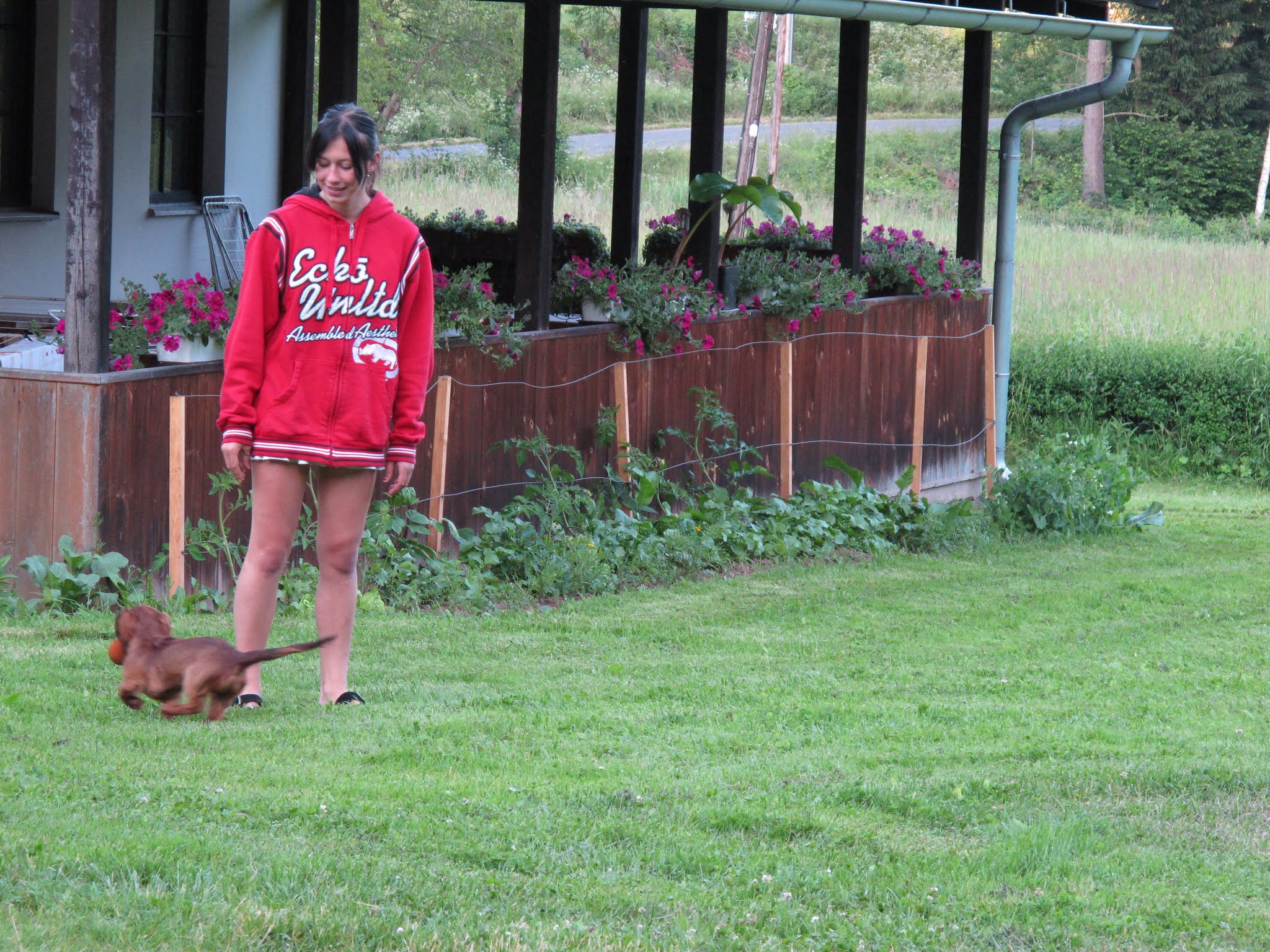 Album image copied from https://lh3.googleusercontent.com/-KSPzJVHCxPI/VYvdoL4QhGI/AAAAAAABfwY/g_ASpNh20NYIuYQhPsc9Hk_TOFeOnJ_aACLABGAYYCw/s0-U-I/IMG_5839.JPG