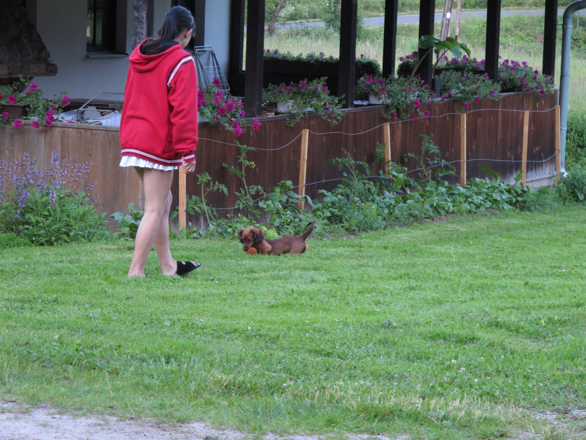 Album image copied from https://lh3.googleusercontent.com/-DSo1MMAJvl4/VYvdp0RSJ_I/AAAAAAABfwg/WStegZj42yAou_DTWxUXhjdt_MofEDEIgCLABGAYYCw/s0-U-I/IMG_5840.JPG