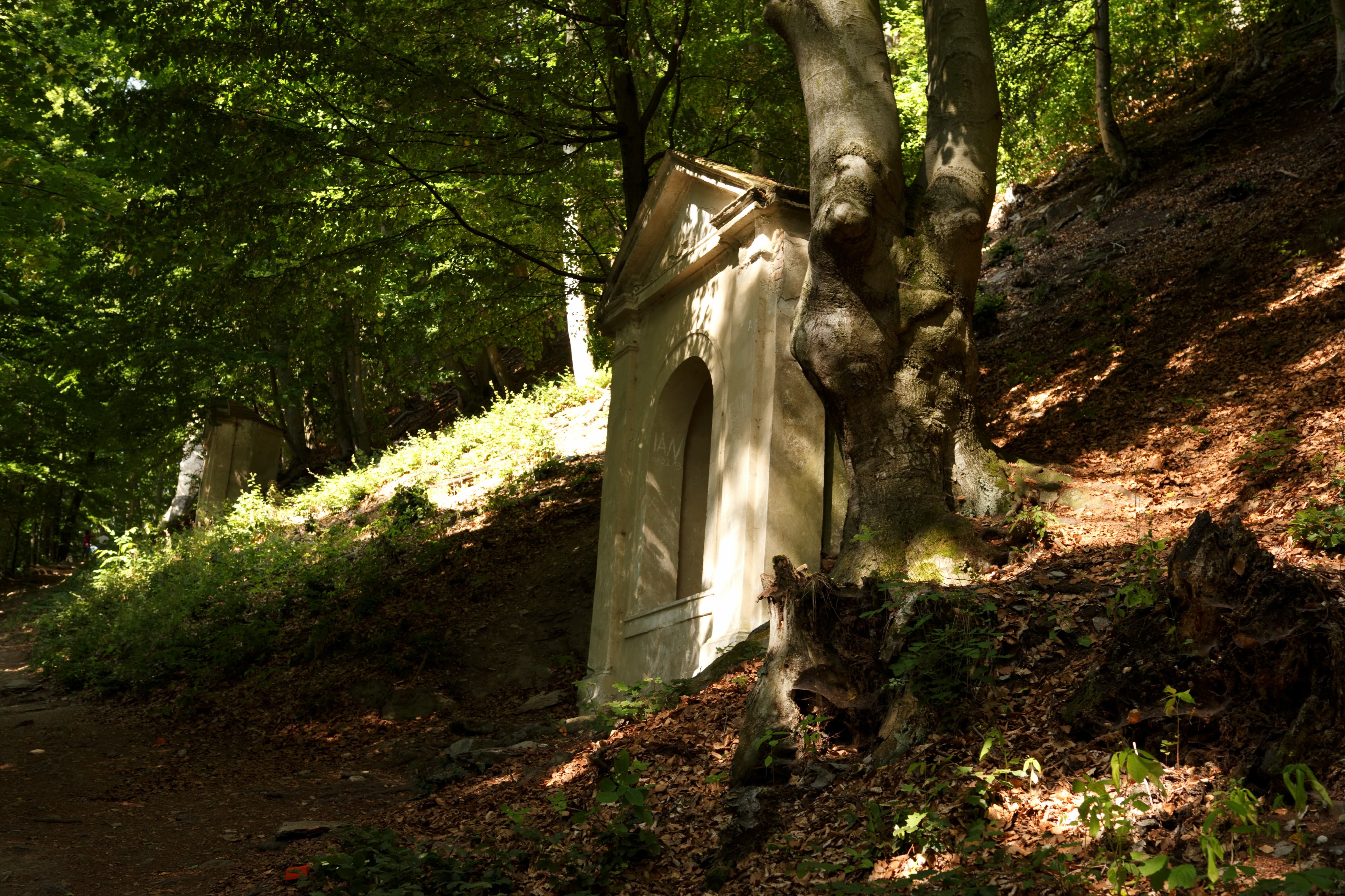 Album image copied from https://lh3.googleusercontent.com/-bn6bM-gpAPY/Vem9GAXMgTI/AAAAAAACSiA/AiK8bLCGeus9CJybD8UZ2TAQu71tJgXHgCJoC/w4897-h3264/IMG_5873.CR2