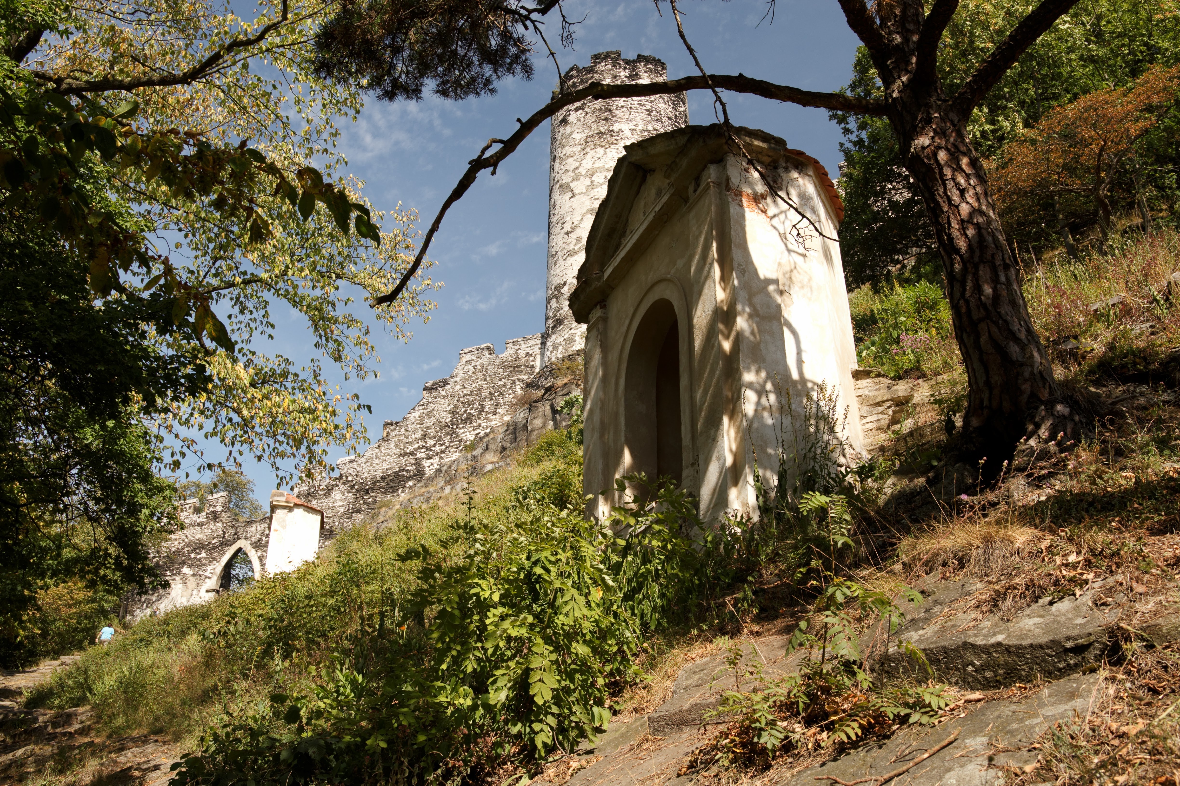 Album image copied from https://lh3.googleusercontent.com/-afhUhrj-V0I/Vem9GPR1fBI/AAAAAAACSiA/yBT9Y6wzPukCIvzqc_syI6Cs9pWx27lTwCJoC/w4897-h3264/IMG_5874.CR2