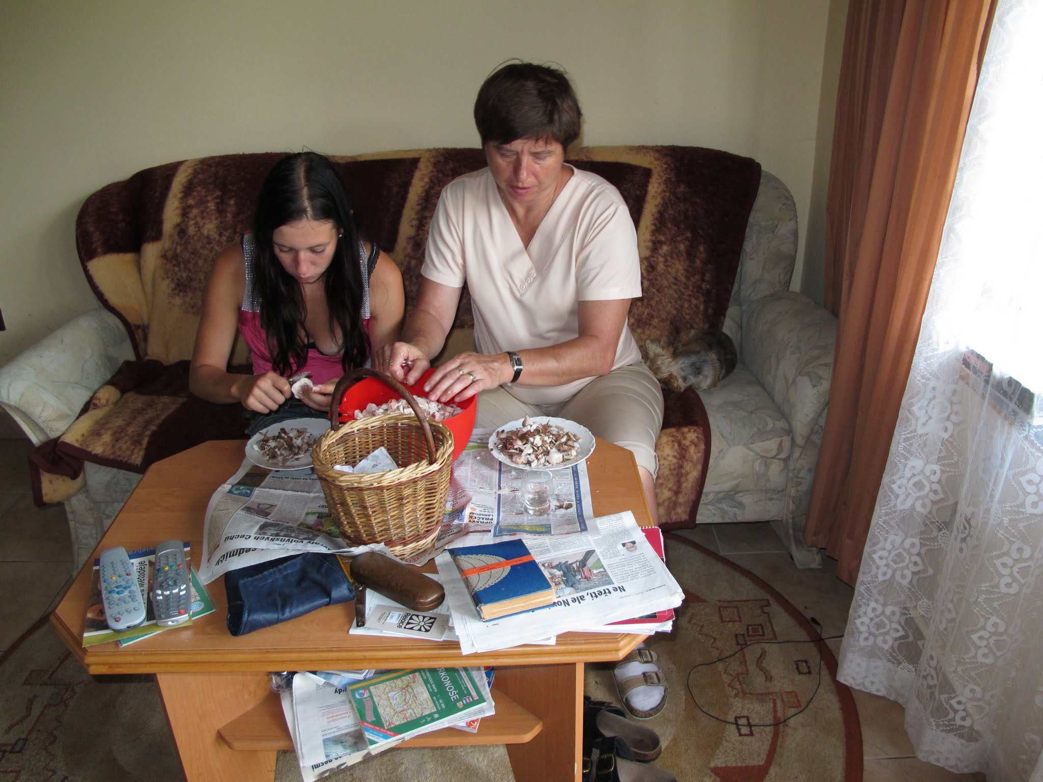 Album image copied from https://lh3.googleusercontent.com/-E7nbbNLmFZw/VYvN69WJoOI/AAAAAAABe7I/yk9uJOCdFj881tfiTRINZlkRyoyD5oQsQCLABGAYYCw/s0-U-I/IMG_6100.JPG