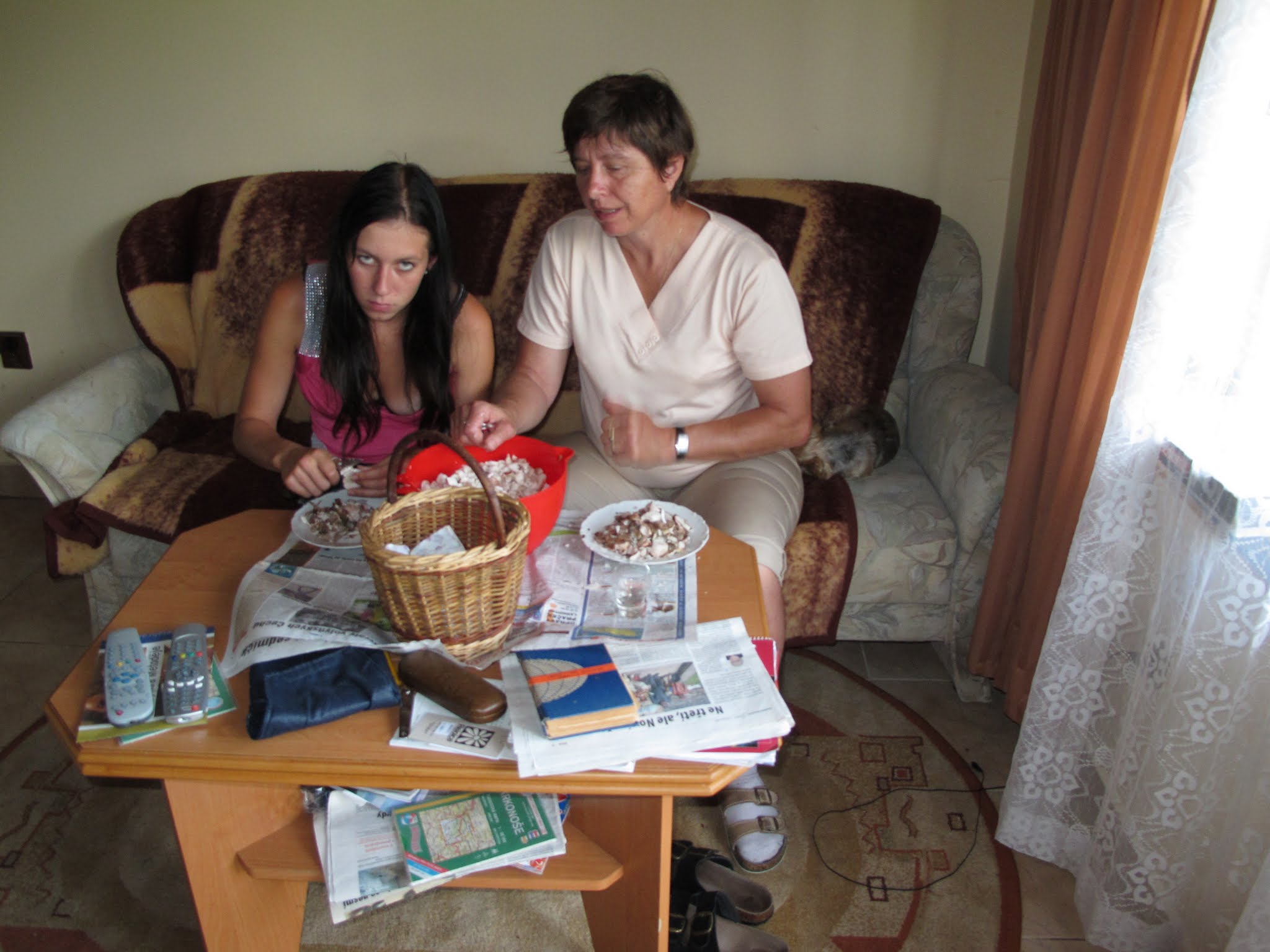 Album image copied from https://lh3.googleusercontent.com/-PrDhjajNU2Q/VYvN7glKXiI/AAAAAAABe7Q/IVXoaQ7DZVQYwfyZLc-6Qpef1Bsg9gB-gCLABGAYYCw/s0-U-I/IMG_6101.JPG