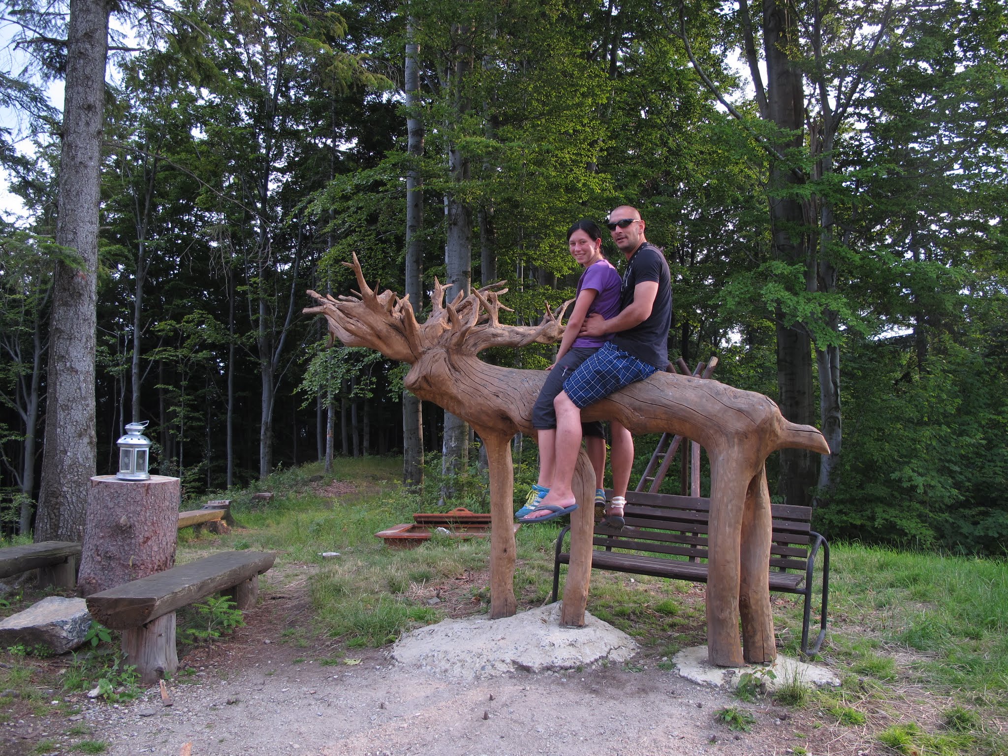 Album image copied from https://lh3.googleusercontent.com/-kPcH36_tE2Q/VYvUyS6SIkI/AAAAAAABfVQ/r2LijKYIqXM/w2048-h1536/IMG_6391.JPG