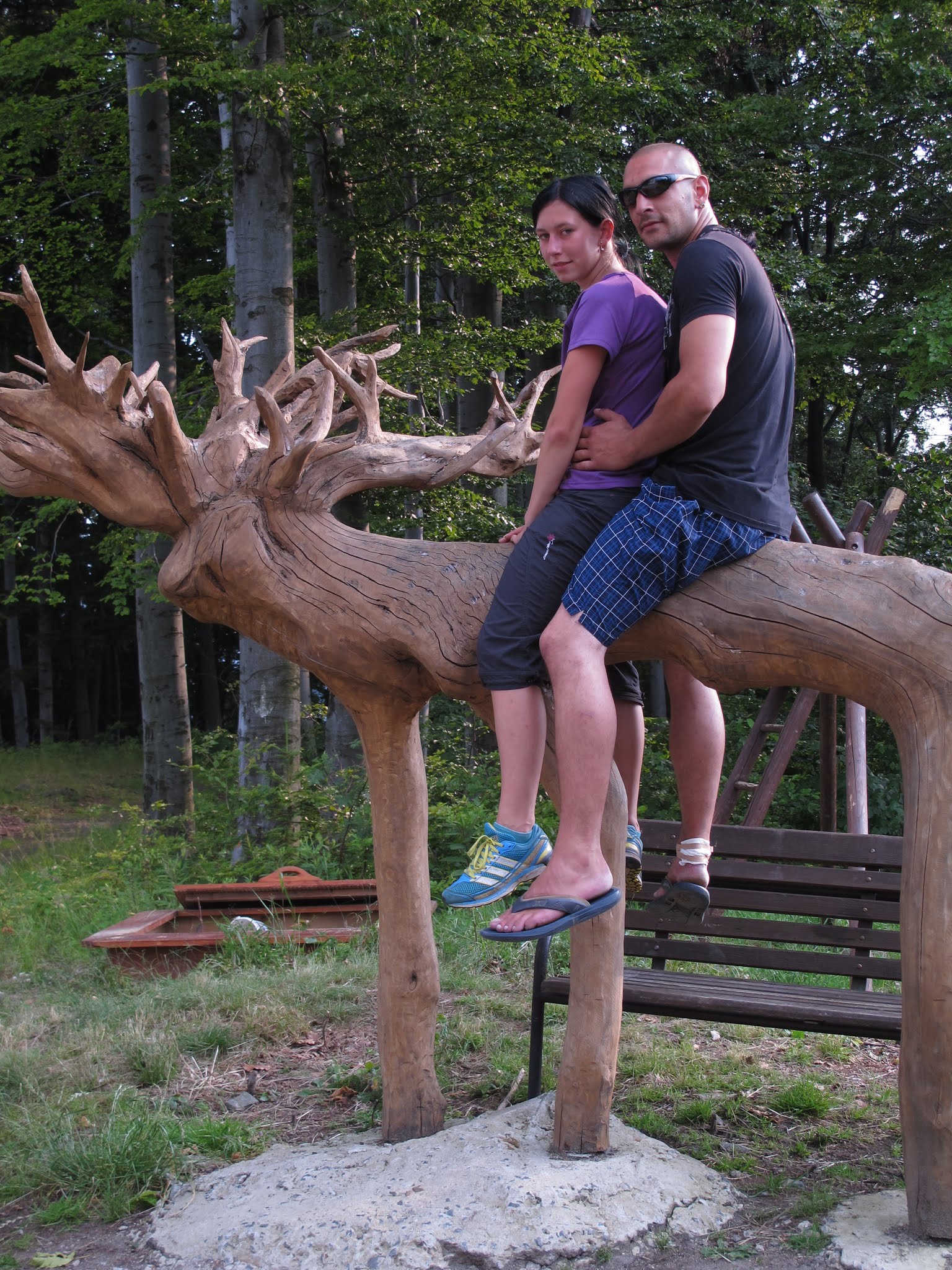 Album image copied from https://lh3.googleusercontent.com/-Y7o3KVenPKA/VYvUzoNAryI/AAAAAAABfUo/92mmwbOxQd0/w1536-h2048/IMG_6394.JPG