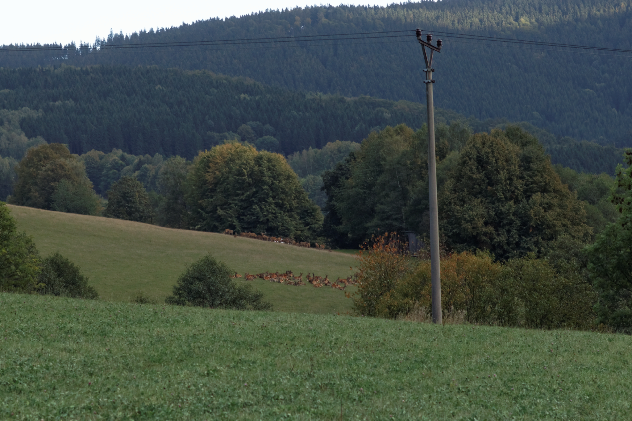 Album image copied from https://lh3.googleusercontent.com/-m0YhT3rPWJI/VhQiD1nqSCI/AAAAAAACASU/wRNatBLTE2UQO1yecrhyMQsNNyMgxMG9wCLABGAYYCw/s0-U-I/IMG_6752_DxO_web.jpg