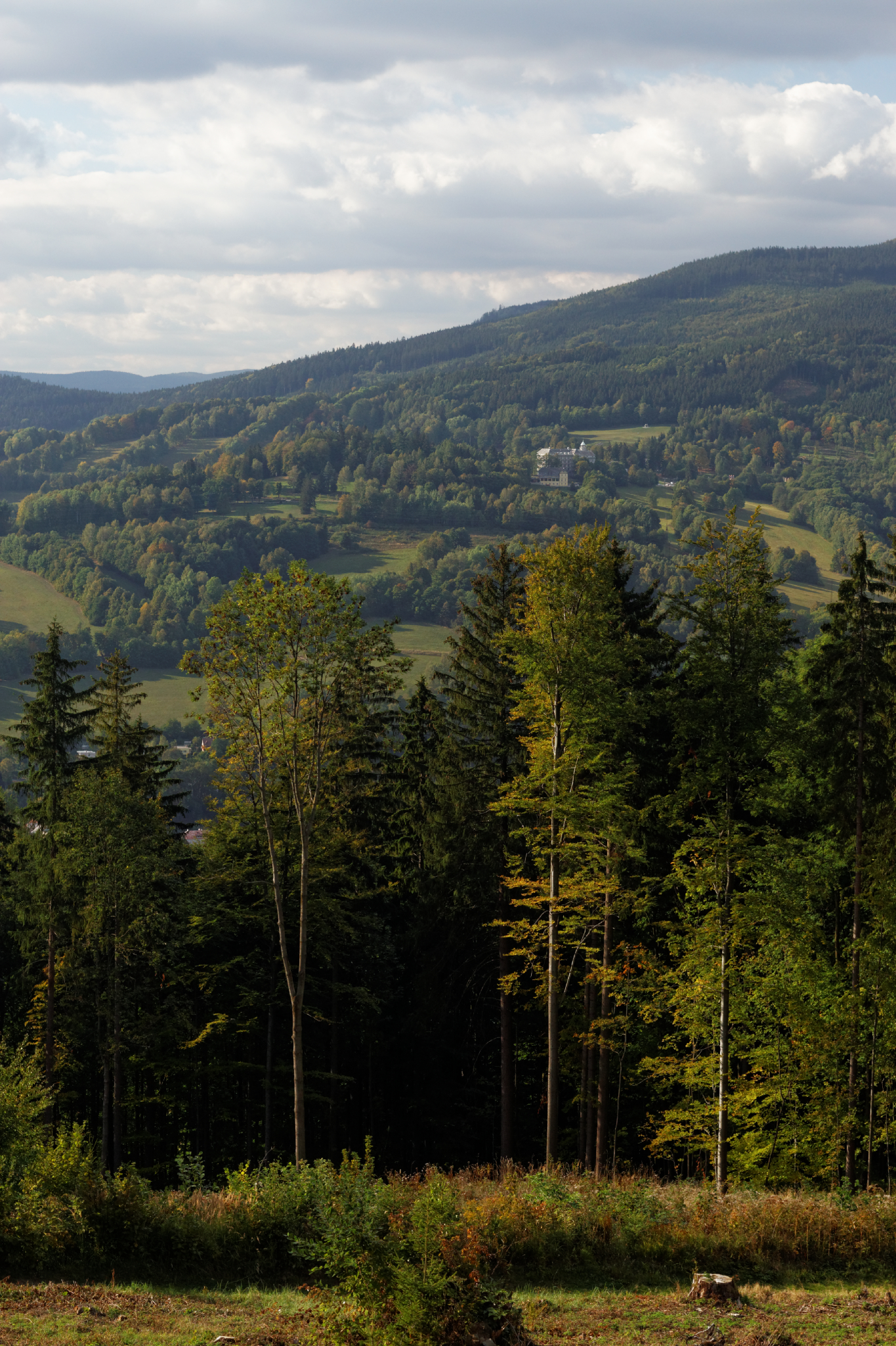 Album image copied from https://lh3.googleusercontent.com/-2bLOOE1JcvQ/VhQigvsU4BI/AAAAAAAB6_k/LuVyiRbD6mg_-O47lcp3myKBfUaT84vgwCLABGAYYCw/s0-U-I/IMG_6762_DxO_web.jpg