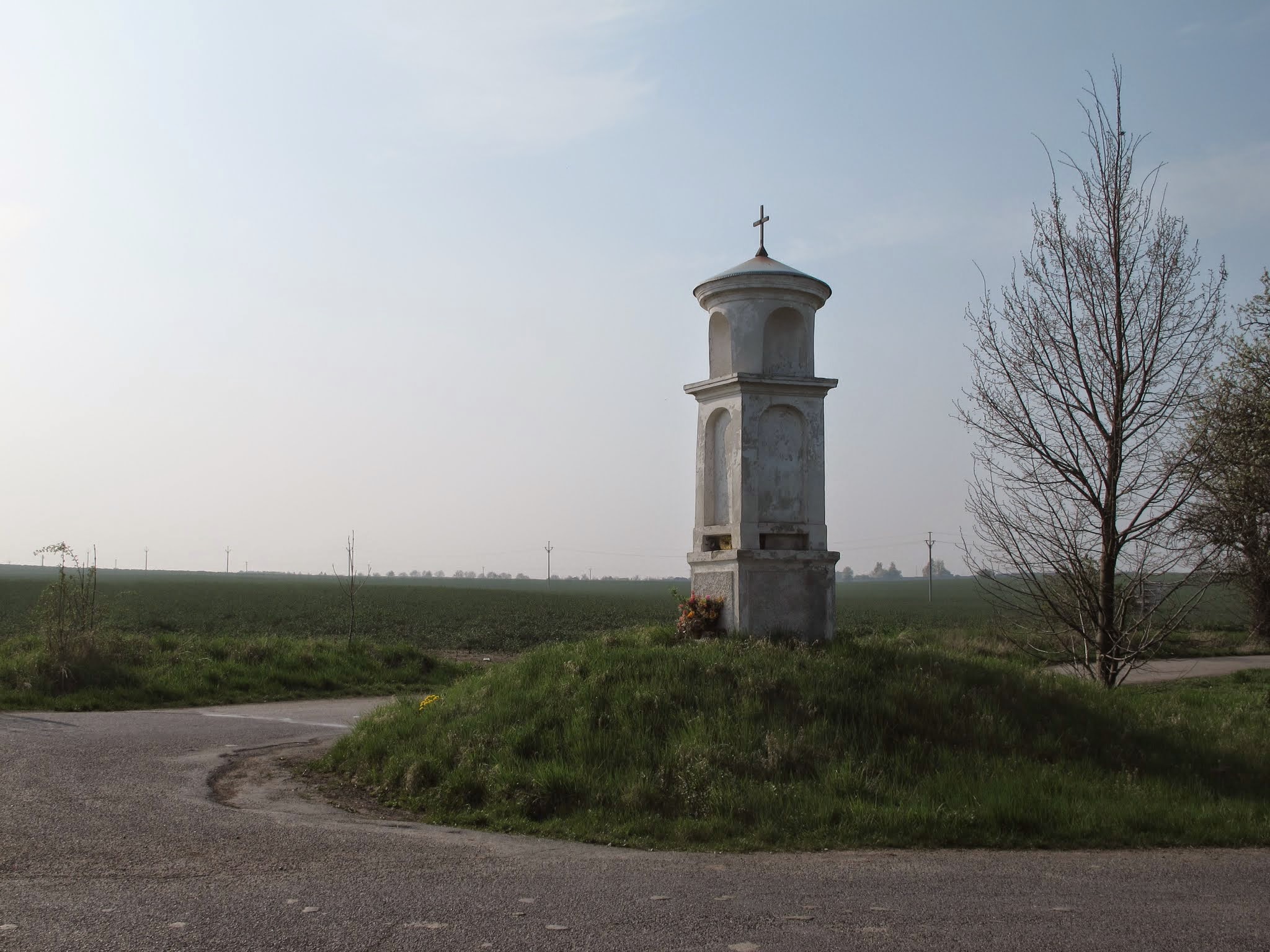 Album image copied from https://lh3.googleusercontent.com/-QrTI2TO9lJo/VHSTXm0wK0I/AAAAAAAAXRY/n5WSTpEtDZQ/s0-d/IMG_8953.JPG
